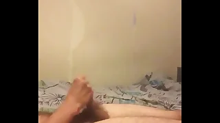 356 gayemo porn videos